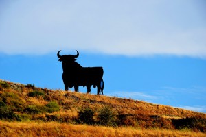 Ferienwohnungen in Spanien