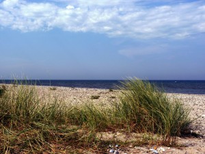 Ferienwohnung auf Fehmarn