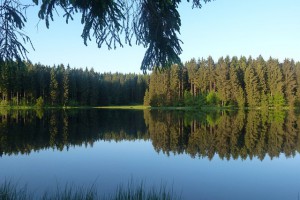 Ferienwohnungen im Harz