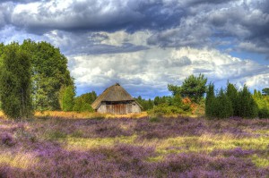 Ferienwohnung in der Lüneburger Heide