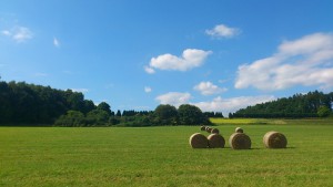 Ferienwohnung im Westerwald