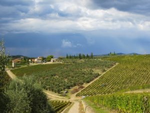 Ferienwohnung in Chianti