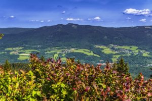 Ferienwohnungen im Bayerischen Wald